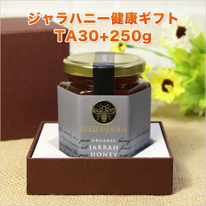 yN̑蕨zMtg Wnj[ TA 30+ 250g }kJnj[ƓľN I[XgAEI[KjbNF I yNzyjzyzyΕzyzy