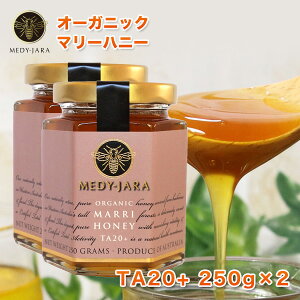 労Ӎ SALEi }[nj[ TA 20+ 250g×2{Zbg (500g) }kJnj[ƓľʂEō̌N I[XgAEI[KjbNF I ͏ؖt M ͂