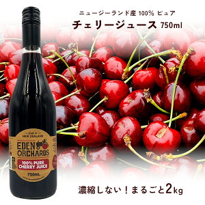 VN[|40OFF 100 sA `F[W[X 750ml ByGf_ `F[2kggp j[W[hY Zk Y sgp AgVAj 肷K vʃJb