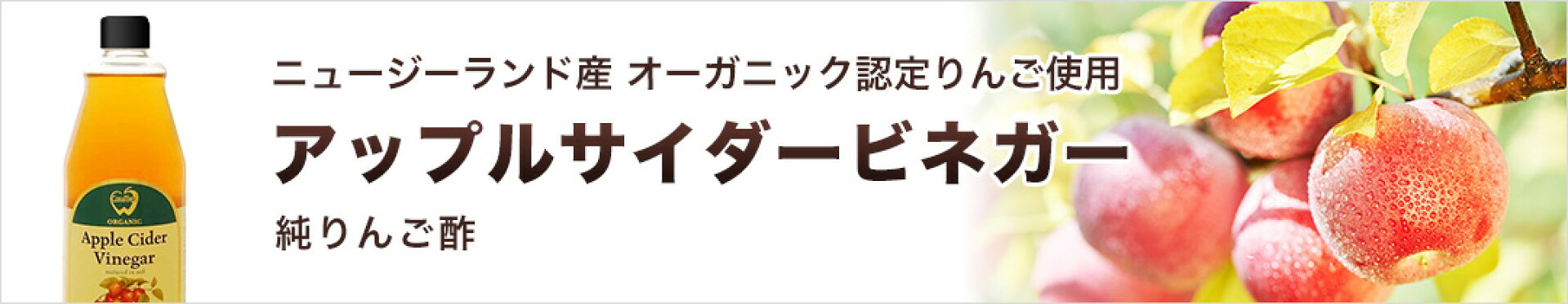 ジャラハニーTA20+