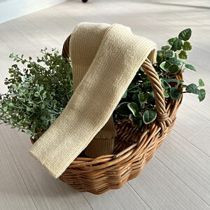 SALE艿iI K\bNX K O C bOEH[}[ _X oG Kp WY_X  ܐ     y܂   eBsX \bNX  