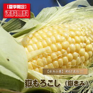 とうもろこし 嶽きみ 【送料無料】岩木山麗の朝もぎ『嶽もろこし（嶽きみ）/10本入り』 トウモロコシ 玉…