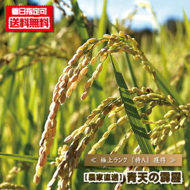 【新米入荷】青森県 送料無料 『 青天の霹靂/5kg袋 』 晴天の霹靂 精米 白米