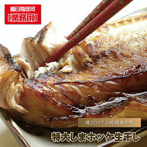 ق  w 債܃zbP x ܂ق V}zbP 銱