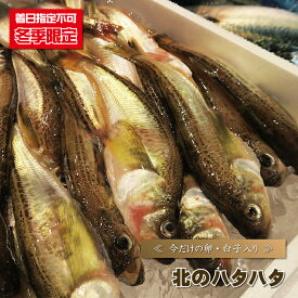 楽天市場 ハタハタ ぶりこの通販