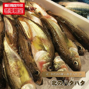 wsn^n^ ͂͂ w k̃n^n^/1kgO x  ~G