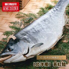 鮭 サケ 『 【北洋産】 若紅鮭（さけ）/1本 』 しゃけ シャケ