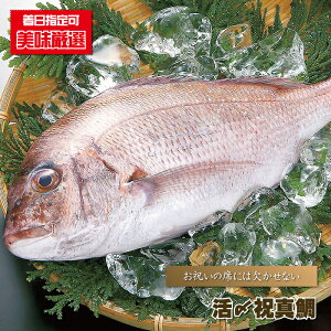  hgp w Yj^/1kgO x  ^C Ă pĂ