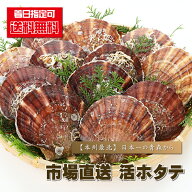 ほたて 刺身用 『 【送料無料】 市場直送”活”ホタテ/3kg前後 』 帆立