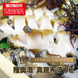 あわび 殻付き 『 陸奥湾産 真昆布アワビ 』 鮑 殻つき 刺身用