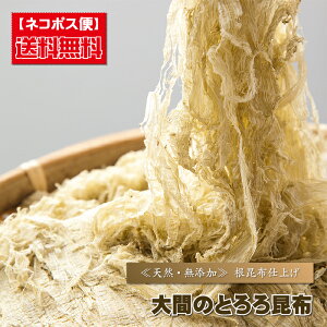 gz  w Ԃ̂Ƃ덩z x  Ru