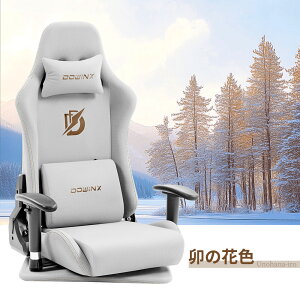 Dowinx Q[~O`FA ֎q t@ubN ʋC I| 360x] `FA 3DA[ U@\ o[T|[g ɑ΍ lԍHw PC`FA Q[`FA ݑ