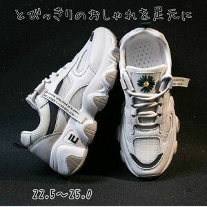 yP2{&N[|LzXj[J[ fB[X jO X|[c _bh {[ _X tbg  L r  킢 l Vv JWA   