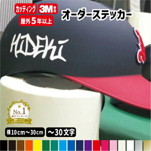 I[_[Ch JbeBOXebJ[ OphV[y10`30cm1spzIWi쐬 tHg45 J[19F  O V[ XebJ[ Lbg oCN XP{[ ] 