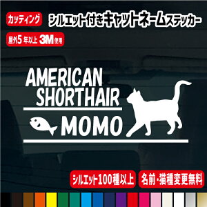 LXebJ[ԗp/Lbgl[蒷` XebJ[yL.OύX!!EVGbg146!!zy18cm /27cmzL/J[18F O V[ CAT ˂ lR  LbgCJ[ 