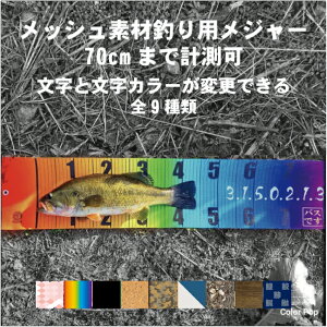 軽量 メジャー その他の釣具の人気商品 通販 価格比較 価格 Com