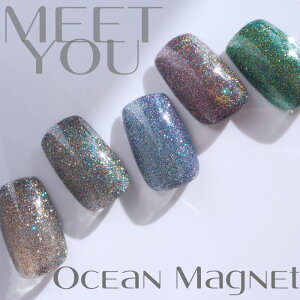 yOcean Magnetzy2.5gRei^CvzyS5FzZtlC I[VjAX h LL WFlC ؍ 嗱}Olbg