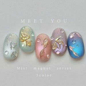 �yMist Magnet�z�y8ml�{�g���^�C�v�z�y�S5�F�z�Z���t�l�C�� �~�X�g�}�O�l�b�g �L���L�� �G�ߊ��}�O�l�b�g �؍��� ���I �l�C���A�[�g �l�C���p�i �t���b�V�� ���s��