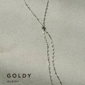 【最短翌日お届け】チェーン スライド ステンレス ネックレス GOLDY ゴールディ 3240709 goldy アクセサリー レディース チェーンネックレス 細い シルバー ゴールド goldy ネックレス 変色しにくい アレルギー対応