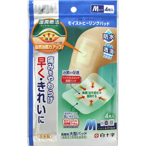 �_�撅�N�[�|�����s�I4��4��(�y)8�F00���^FC���C�X�g�q�[�����O�p�b�h M (4����) ���\�� family care
