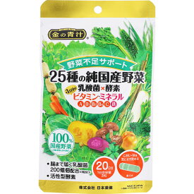 【送料無料[メール便05]】25種の純国産野菜 乳酸菌×酵素+1日分のビタミン・ミネラル (60粒) 日本薬健 金の青汁