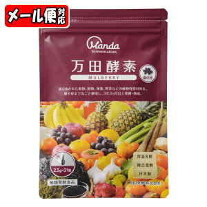 y[[03]zcyf MULBERRY y[Xg ^Cv 31 (77.5g) cyf}x[