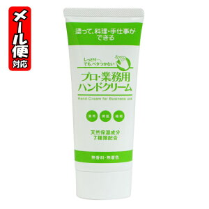 _撅N[|sI1120()^y[05zv Ɩp nhN[  (60g) z [Gߕi2aw]