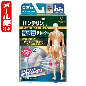 y[02zoeT|[^[ ʋC Ђp 傫 Vo[O[ (1) a oeR[