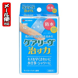 �_�撅����N�[�|�����s�I12��19��(��)���^�y���[����03�z�P�A���[�� ������ �h�� M�T�C�Y 12�� �j�`�o��