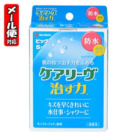 ＼先着クーポン発行 ！6月4日(木)8:00より／【メール便03】ケアリーヴ 治す力 防水 ビッグサイズ 5枚 ニチバン