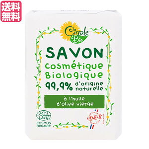 yX[p[SALEI|Cg2{I300~N[|Iz Ό ΂ VK[rI I[KjbN\[viI[uj100g 