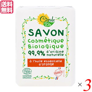 y11/1(y)I|Cgő8{IzVK[rI I[KjbN\[viIWj100g 3Zbg 