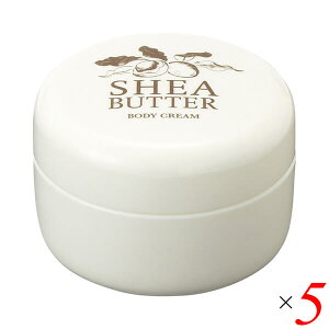 VAo^[ {fBN[ ێ ̖ VAo^[ {fBN[ 140g 5Zbg 