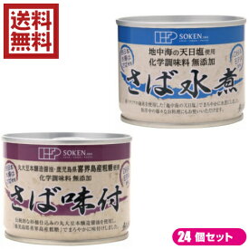 鯖 水煮 缶 創健社 さば缶 選べる24個セット 全2種