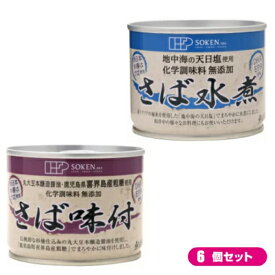 鯖 水煮 缶 創健社 さば缶 選べる6個セット 全2種