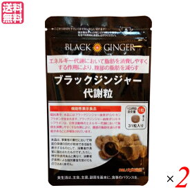 ブラックジンジャー代謝粒 31粒 2袋セット 機能性表示食品 クラチャイダム 黒しょうが 黒ウコン 送料無料
