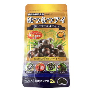 ͂ ͂ACypbN^Cvz60 @\\Hi u[Cg  eC [ALT` ATCx[ ATC[