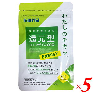 JlJ Ҍ^RGUCQ10 킽̃`J ENERGY 30 5Zbg @\\Hi