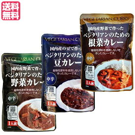 カレー レトルト カレールー ベジタリアンのためのカレー3種セット（レトルト）中辛 200g 桜井食品 送料無料