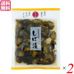 yX[p[SALEI100~N[|Iw2{IzЕ Ђ Β }ACHi ȃV YΒ 100g 2Zbg 