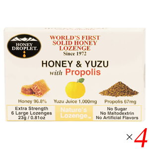 yX[p[SALEI|Cg2{I300~N[|Izv|X LfB[ ̂ǈ nj[hbvbg nj[&Mqwithv|Xîǈj18g/6 4Zbg nj[Wp