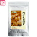 【マラソン限定！ポイント2倍！100円クーポン！】生姜パウダー 生姜 国産 マルシマ 国産生姜粉末 20g 送料無料