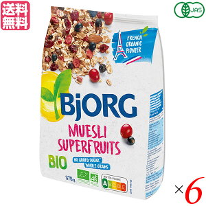 y11/1(y)I|Cgő8{IzVA Om[ ~[Y[ rIO L@~[Y[ x[~bNX 375g ×6Zbg 