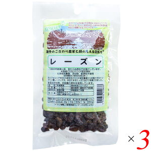 【10/30(木)限定!楽天カードでポイント8倍!】レーズン 120g 3個セット ネオファーム ドライフルーツ カリフォルニア 非加熱 送料無料