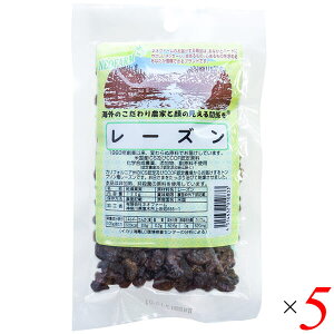 [Y 120g 5Zbg lIt@[ hCt[c JtHjA M 