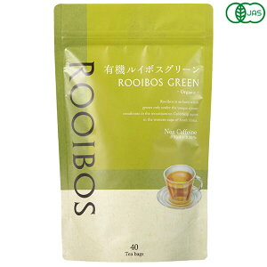 yX[p[SALEI|Cg2{I300~N[|Iz̖ L@C{XEO[ 40TB(eB[obO) 