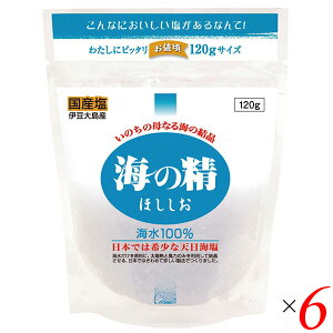 yX[p[SALEI100~N[|Iw2{Iz Y V C̐ ق  120g 6Zbg 