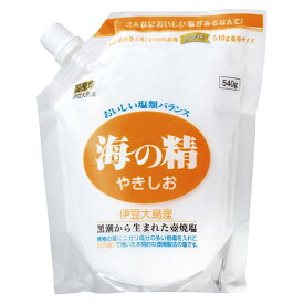 塩 天然塩 天日 海の精 やきしお（スタンドパック）540g 送料無料