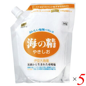 yX[p[SALEI100~N[|Iw2{Iz VR V C̐ ₫iX^hpbNj540g 5Zbg 