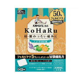 【第2類医薬品】20枚入　2個　送料無料　ポスト便発送　パスタイム　FX こはる　20枚　2個